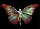 Butterfly Ballerina BUTTERFLY-BALLERINA
